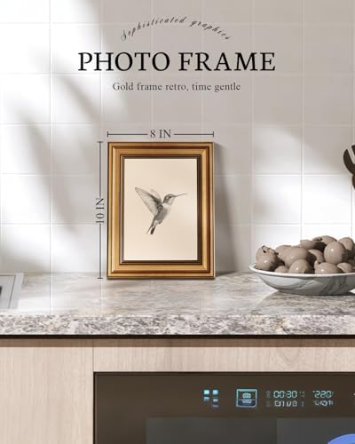 VIYYIEA Vintage Gold Framed Wall Art – Hummingbird Sketch, 8x10 IN - Image 2