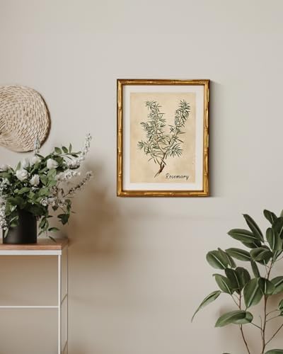 InSimSea Gold Bamboo Framed Wall Art, Retro Herbs Rosemary Prints - Image 5