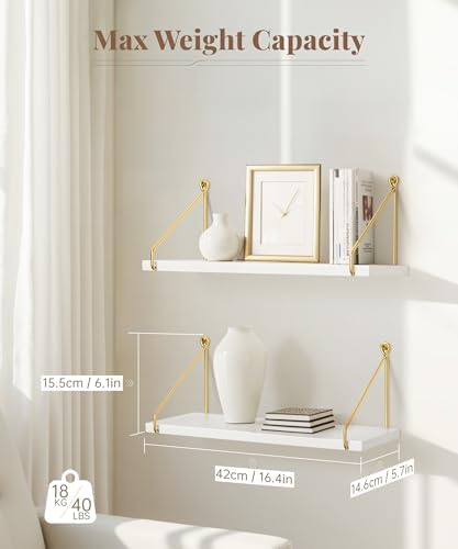 Afuly Floating Shelves for Wall, Display Wall Shelves - Image 2