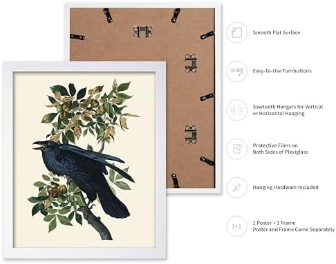 Poster Master Vintage John James Audubon Poster - Image 2