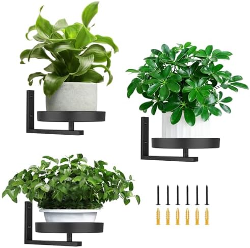 3 Pack Wall Planters for Indoor Plants, Wall Mounted Plant Holder, Metal wall by Unknown