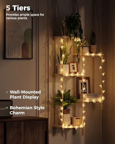 Bamworld Hanging Shelves with Grow Light Plant Hanger Indoor Window Plant - Image 3
