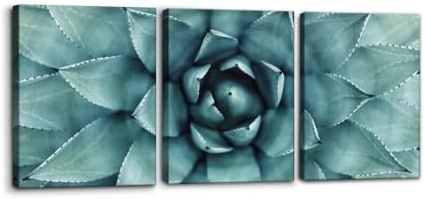 Pacimo 3 Pieces Canvas Wall Art Succulent Centre Pictures Prints Giclee Poster by Pacimo