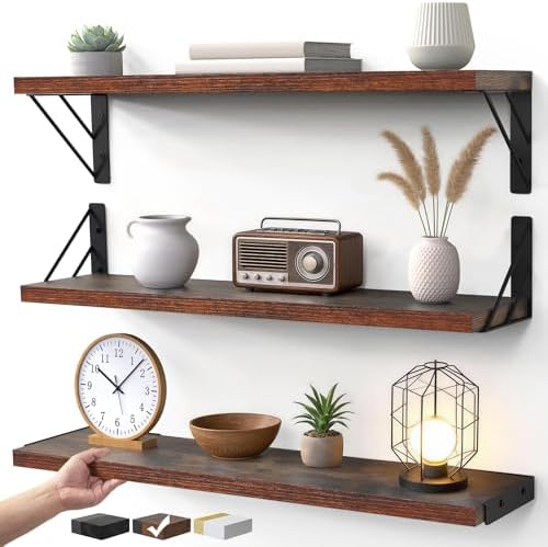 BAYKA 22.4 Inch Long Wall Mounted Floating Shelves by Bayka