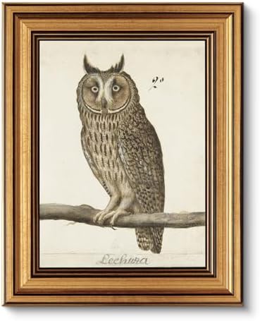 VIYYIEA Vintage Gold Framed Owl Wall Art, 10L x 8W by VIYYIEAART
