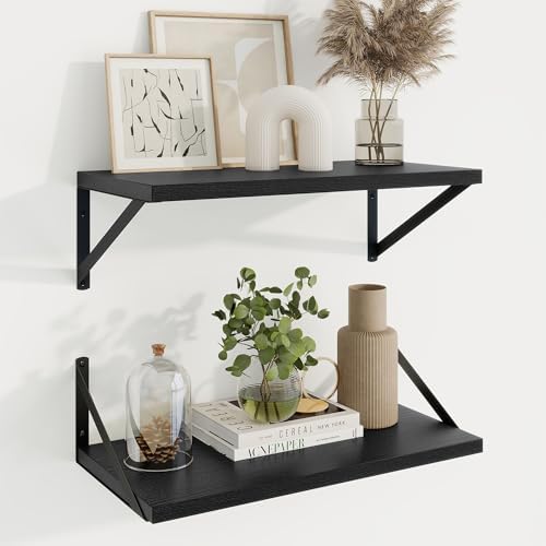 Axeman 20 Inch Floating Shelves, 10 Inch Deep Black Wall Shelves Set of 2 by Axeman