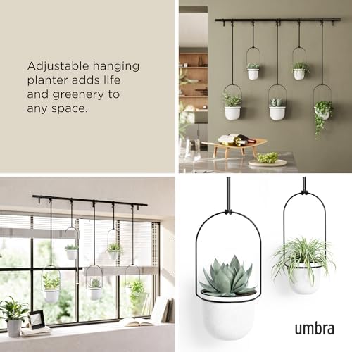 Umbra Triflora Hanging Planter, Window Herb Garden - Image 4