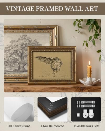 InSimSea Gold Framed Owl Wall Art, Vintage Animal Sketch Painting, 8x10 In - Image 3