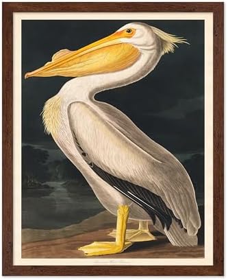 Poster Master Vintage John James Audubon Poster by PosterMaster