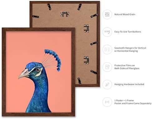 Poster Master Peacock Print - Image 2