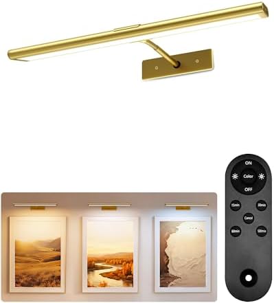 EZVALO Picture Light for Wall, 4800mAh Rechargeable Wireless Remote, 16‘’ by EZVALO