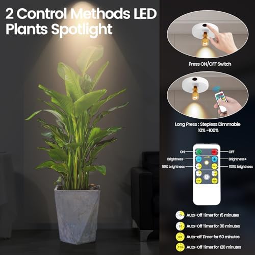 HAMVIDNE LED Spotlights Indoor, Rechargeable Battery Picture Display Lights - Image 3