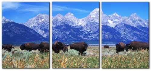 Pacimo Framed Native American Bison Modern Wall Art by Pacimo