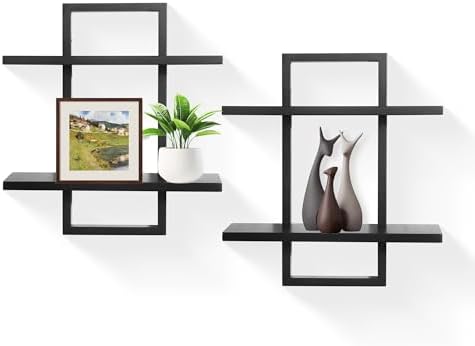 Floating Shelves for Wall, Decorative Wall Shelves Black, Plants Shelf Framed by PHOENANCEE