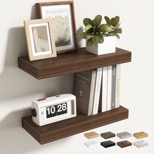 Acovy 16 Inch Floating Shelves for Wall 2 Pack, Wall Mounted Floating Shelf by Acovy