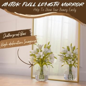 Antok 58" x21” Arched Full Length Mirror - Image 6
