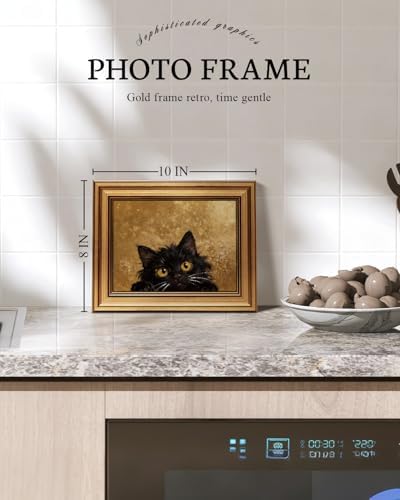 VIYYIEA Vintage Gold Framed Wall Art, Cute Fluffy Black Cat, 8x10 Inch - Image 5