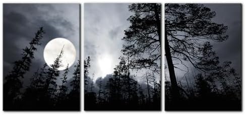 Pacimo 3 Pieces Framed Wall Art Decorations Dark Forest Night Landscape by Pacimo
