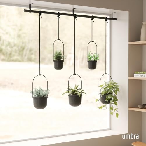 Umbra Triflora Hanging Planter, Window Herb Garden - Image 2