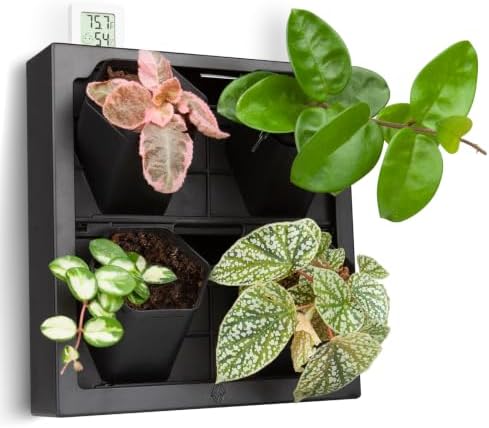 FRESH SPEED Self-Watering Wall Planters by FRESHSPEED