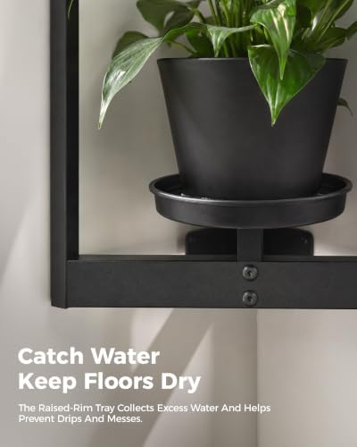 Bamworld Picture Frame Wall Planters Set of 2 Corner Wall Plant Holder - Image 6