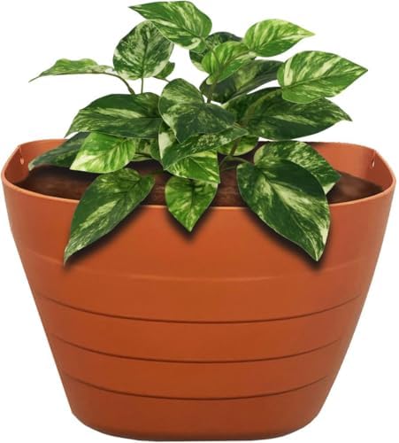 12 Inch Self-Watering Wall Planter - Image 5
