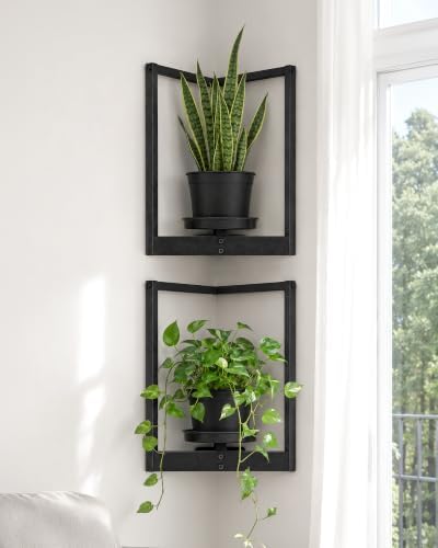 Bamworld Picture Frame Wall Planters Set of 2 Corner Wall Plant Holder by Bamworld