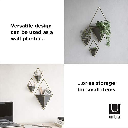 Umbra Trigg Wall Display, Large Geometric Planter Vessel - Image 6