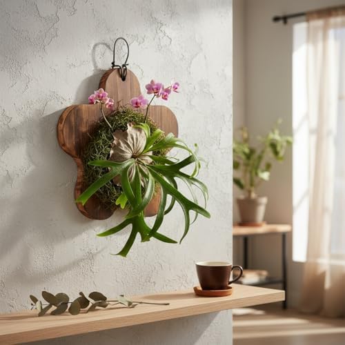 Staghorn Fern Mounting Board Kit Wooden Wall Planter by Unknown