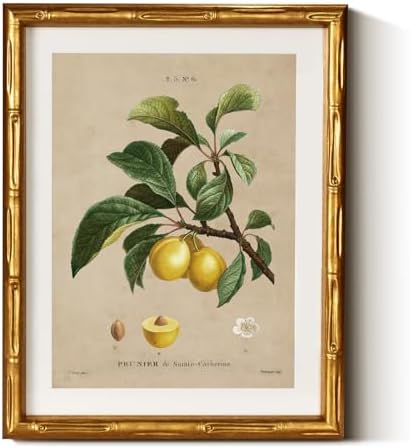 InSimSea Gold Bamboo Framed Wall Art, Retro Plum Botanical Prints by InSimSeaArt