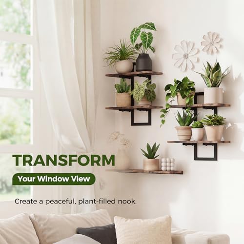 Bamworld Floating Shelves for Wall Planters Indoor Wall Decor, 2 Pack Brown - Image 3