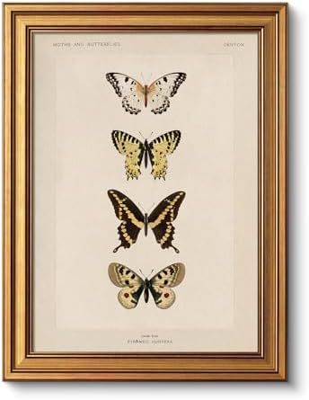 VIYYIEA Vintage Gold Framed Butterfly Wall Art, 16L x 12 Inch by VIYYIEAART