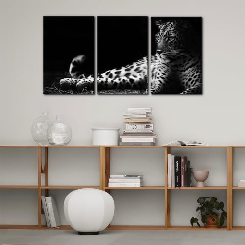 Pacimo Animals Wall Art Set of 3 - Image 2