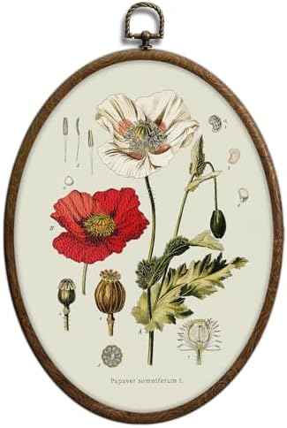 Vintage Boho Floral Oval Wall Art, Vintage Floral Botanical Oval Framed Wall Art by Unknown