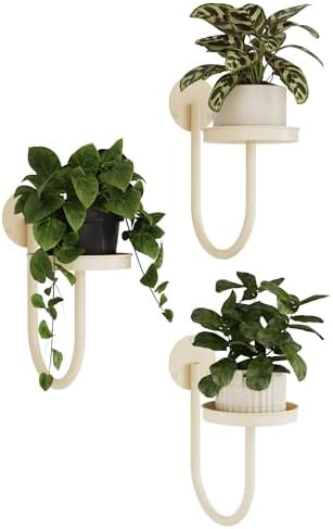 Bamworld Wall Plant Holder for Hanging Planters by Bamworld