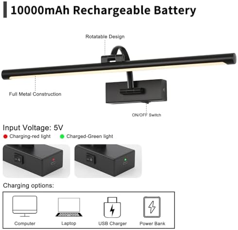 DESOOP Dimmable Black Picture Lights - Image 4