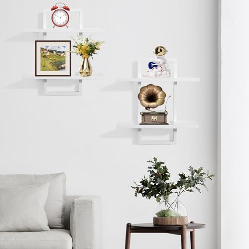 Floating Shelves for Wall, Decorative Wall Shelves Black, Plants Shelf Framed - Image 4