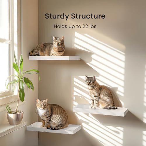 Amada 15.7" Floating Shelves for Wall Decor & Storage - Image 4