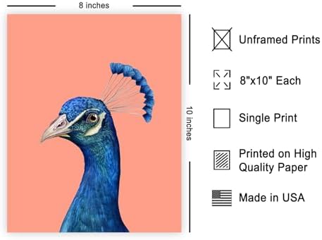 Poster Master Peacock Print - Image 2