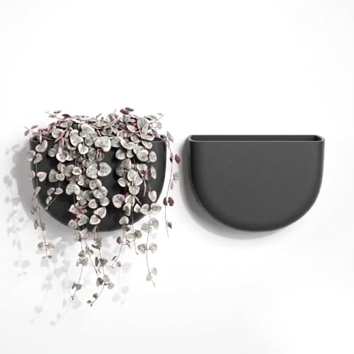 Asnext 2 Pack Indoor Wall Planter, 7 Inch Wall Planter Pot by Unknown