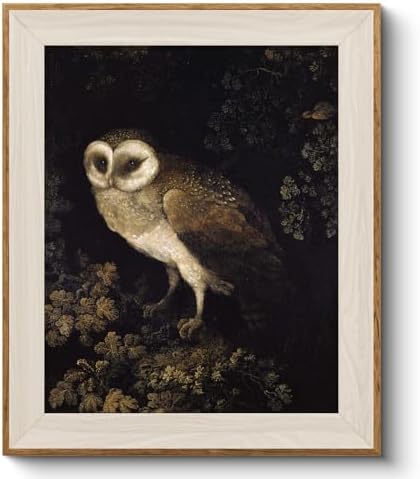 VIYYIEA Framed Vintage Owl Wall Art by VIYYIEAART