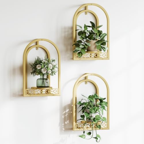 3 Pack Wall Plant Stands, Indoor Plant Holders Apartment by HomecourtyardsInterio