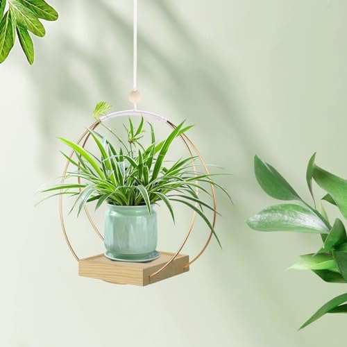hismocal Hanging Planter for Indoor Plants, Plant Hanger - Image 6