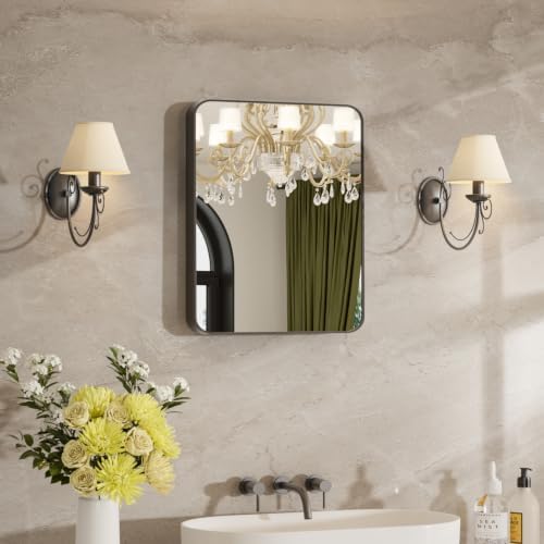 16"x20" Bathroom Mirrors for Over Sink, Matte Black Rectangle Vanity Mirror by MZON