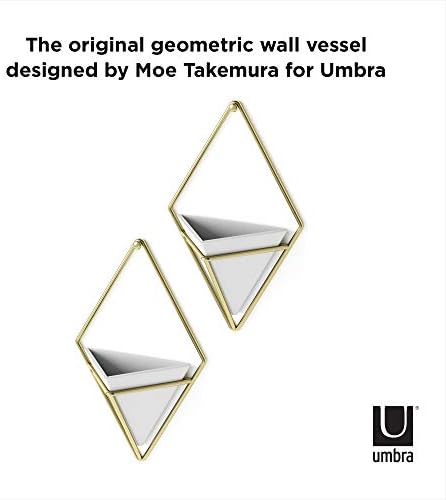 Umbra Trigg Hanging Planter for Small Plants - Image 5