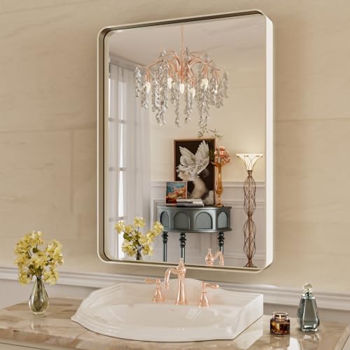 WEER Brushed Nickel Bathroom Vanity Mirror 22X30 Inch by WEER