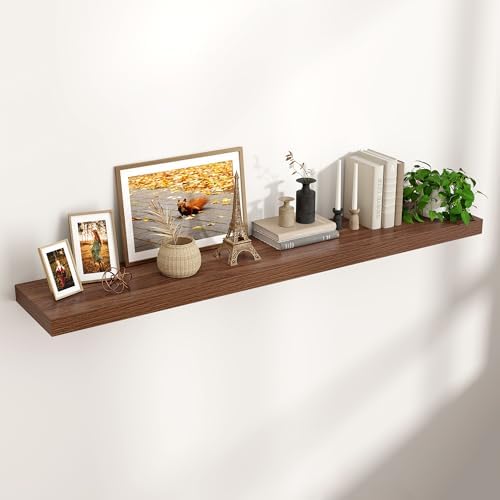 55" Wide x 10" Deep Floating Shelves by Venusmiles