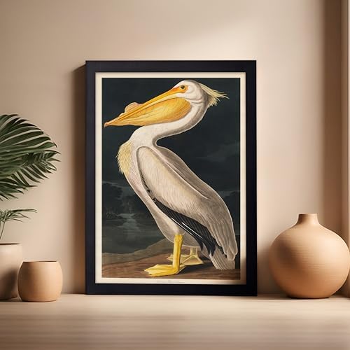 Poster Master Vintage John James Audubon Poster - Image 5