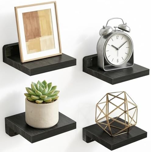 Fixwal Small Floating Shelves for Wall Decor by Fixwal
