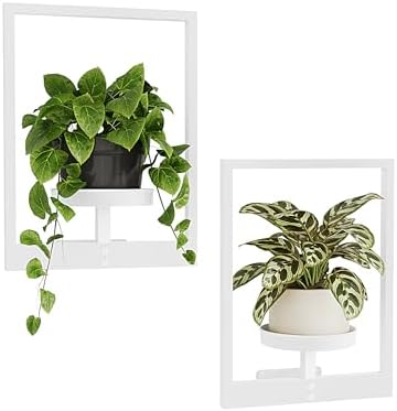 Bamworld Wall Plant Holder Plant Stand Indoor Wall Planters White by Bamworld